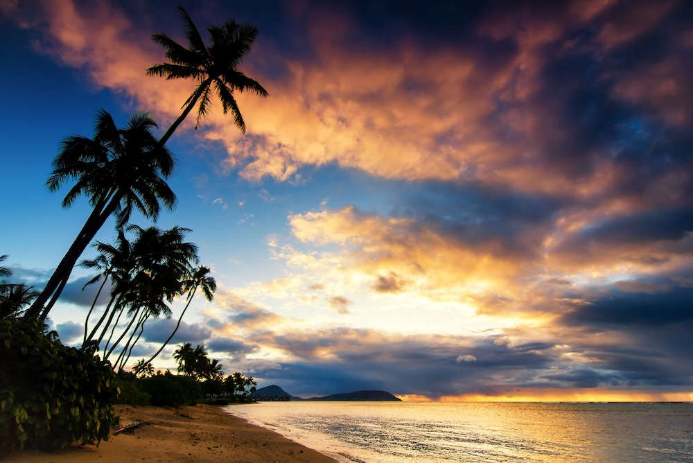 ハワイの景観イメージ